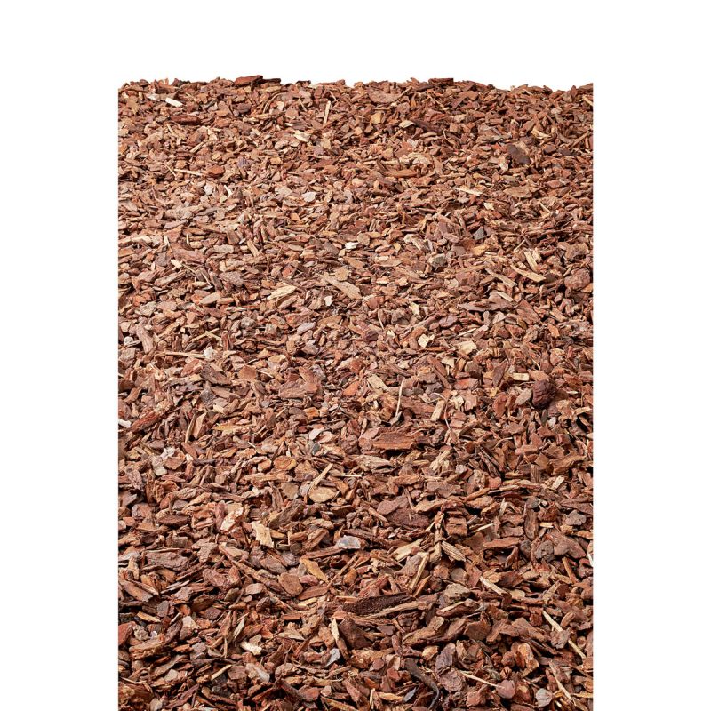 Plantiflor Pinienrinde 40 L